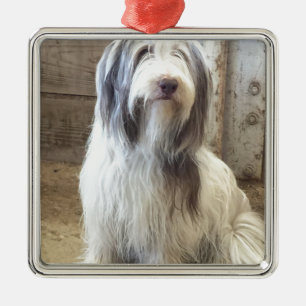 Bearded Collie Metal Ornament