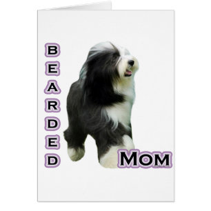 Bearded Collie Mom 4 Cards