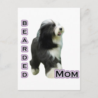 Bearded Collie Mom 4 Postcard