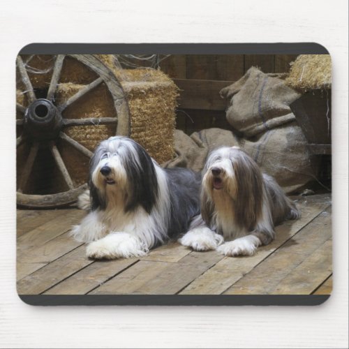 Bearded Collie Mouse Pad