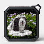 Bearded Collie Painting - Cute Original Dog Art Bluetooth Speaker