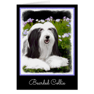 Bearded Collie Painting - Cute Original Dog Art Cards