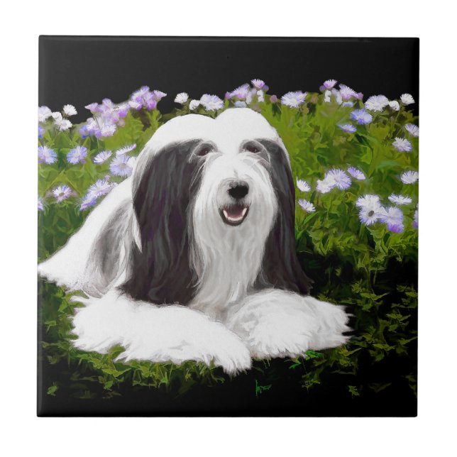 Bearded Collie Painting - Cute Original Dog Art Ceramic Tile (Front)