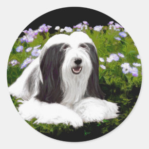 Bearded Collie Painting - Cute Original Dog Art Classic Round Sticker