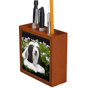 Bearded Collie Painting - Cute Original Dog Art Desk Organizer