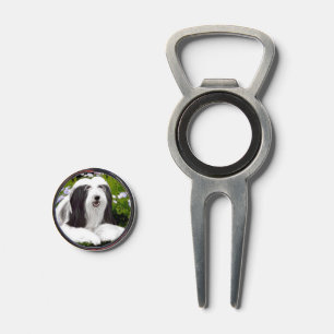 Bearded Collie Painting - Cute Original Dog Art Divot Tool