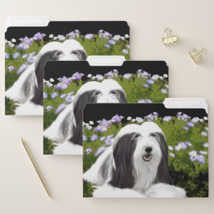 Bearded Collie Painting - Cute Original Dog Art File Folder
