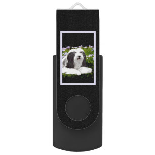 Bearded Collie Painting - Cute Original Dog Art Flash Drive