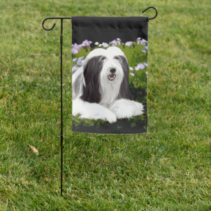 Bearded Collie Painting - Cute Original Dog Art Garden Flag
