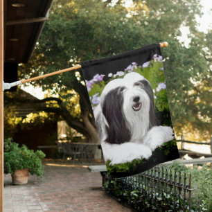 Bearded Collie Painting - Cute Original Dog Art House Flag
