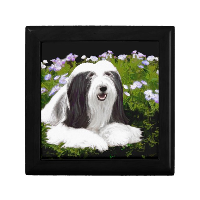 Bearded Collie Painting - Cute Original Dog Art Keepsake Box (Front)