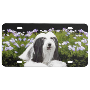 Bearded Collie Painting - Cute Original Dog Art License Plate