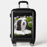 Bearded Collie Painting - Cute Original Dog Art Luggage