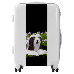 Bearded Collie Painting - Cute Original Dog Art Luggage