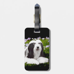 Bearded Collie Painting - Cute Original Dog Art Luggage Tag