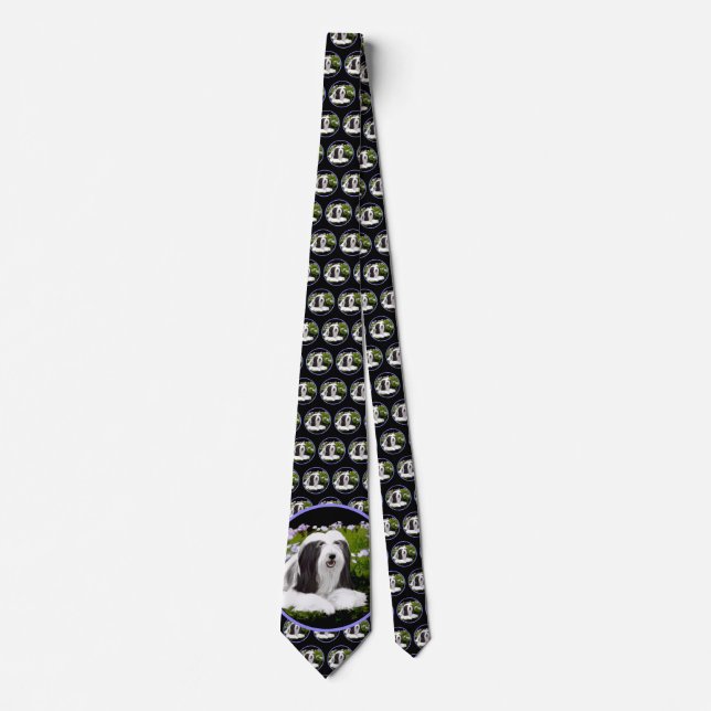 Bearded Collie Painting - Cute Original Dog Art Neck Tie (Front)