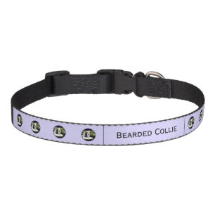 Bearded Collie Painting - Cute Original Dog Art Pe Pet Collar