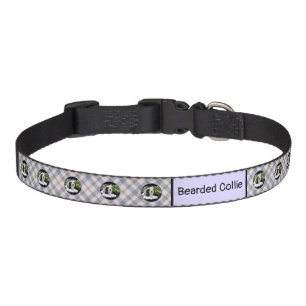 Bearded Collie Painting - Cute Original Dog Art Pet Collar