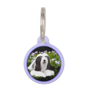 Bearded Collie Painting - Cute Original Dog Art Pet ID Tag