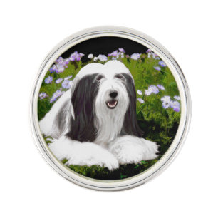 Bearded Collie Painting - Cute Original Dog Art Pin