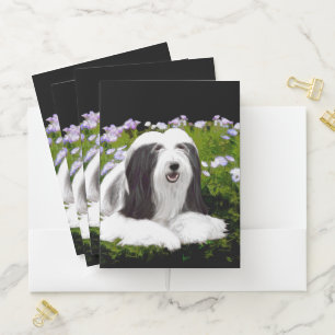 Bearded Collie Painting - Cute Original Dog Art Pocket Folder