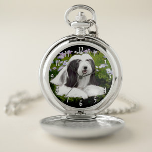 Bearded Collie Painting - Cute Original Dog Art Pocket Watch