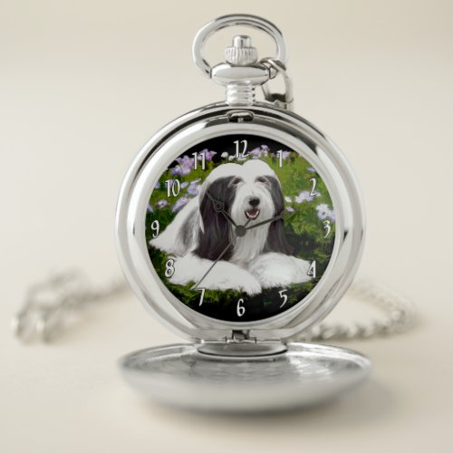 Bearded Collie Painting _ Cute Original Dog Art Pocket Watch