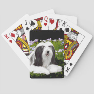 Bearded Collie Painting - Cute Original Dog Art Poker Cards