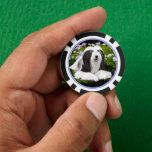 Bearded Collie Painting - Cute Original Dog Art Poker Chips