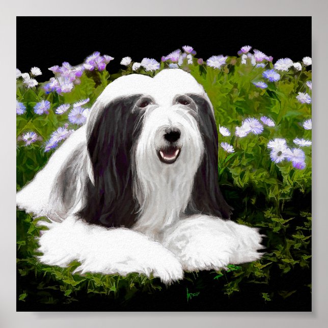 Bearded Collie Painting - Cute Original Dog Art Poster (Front)