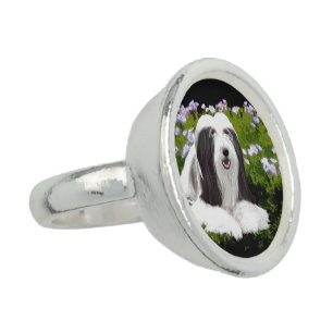 Bearded Collie Painting - Cute Original Dog Art Ring