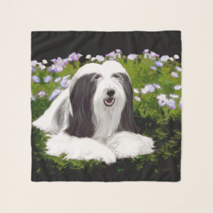 Bearded Collie Painting - Cute Original Dog Art Scarf