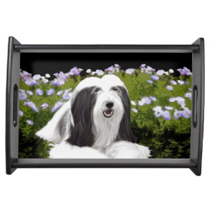 Bearded Collie Painting - Cute Original Dog Art Serving Tray