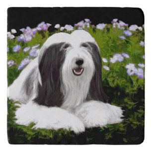 Bearded Collie Painting - Cute Original Dog Art Trivet