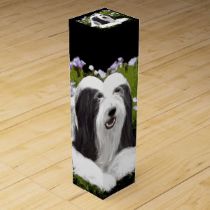 Bearded Collie Painting - Cute Original Dog Art Wine Box