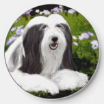 Bearded Collie Painting - Cute Original Dog Art Wireless Charger