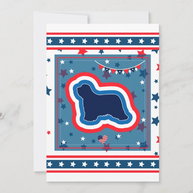 Bearded Collie Patriotic Red White Blue 4th July Holiday Card (Front)