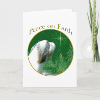 Bearded Collie Peace Holiday Card
