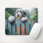 Bearded Collie Peeking Over an Old Fence Mouse Pad