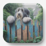 Bearded Collie Peeking Over Old Fence Paper Plates