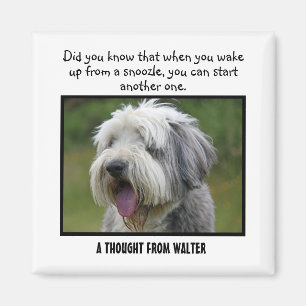 Bearded Collie Personalized Custom Magnet