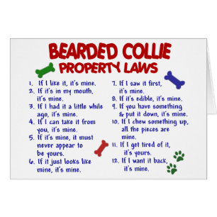 BEARDED COLLIE Property Laws 2 Cards