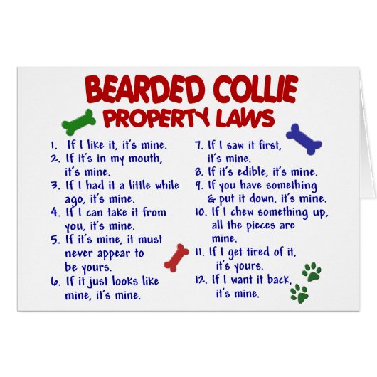 BEARDED COLLIE Property Laws 2 Cards (Front Horizontal)