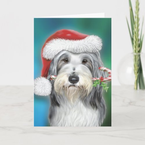 Bearded Collie Santa BG Holiday Card