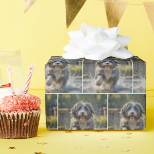 Bearded Collie Splashing In Puddle Wrapping Paper