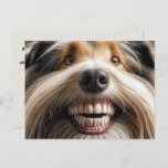 Bearded Collie Toothy Smile Postcard