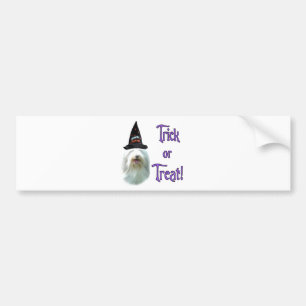 Bearded Collie Trick Bumper Sticker