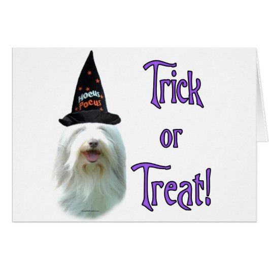 Bearded Collie Trick Cards (Front Horizontal)