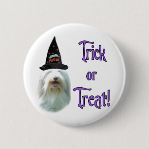 Bearded Collie Trick Pinback Button