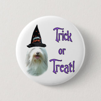 Bearded Collie Trick Pinback Button